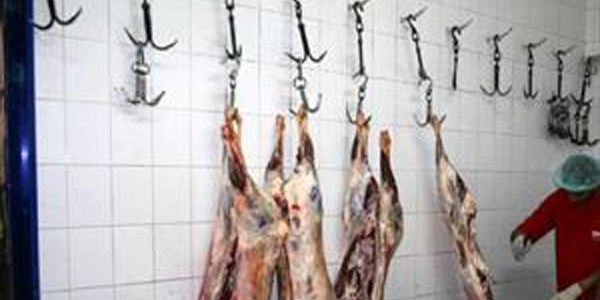 Kasaptan 500 kilo et çaldılar