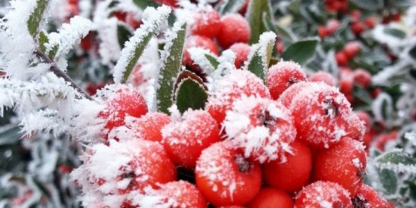 Eskişehir donuyor