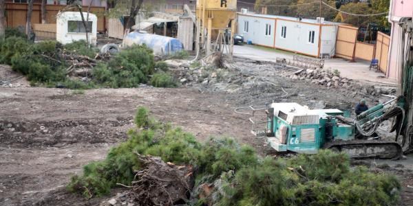 Hastane için 13 ağaç kesildi