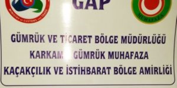 Karkamış'ta tarihi eser operasyonu