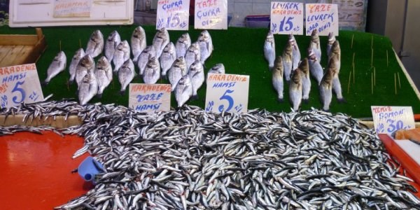 Balık fiyatları yükseldi