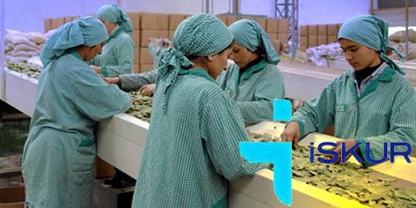 İŞKUR en çok arananlar listesinde