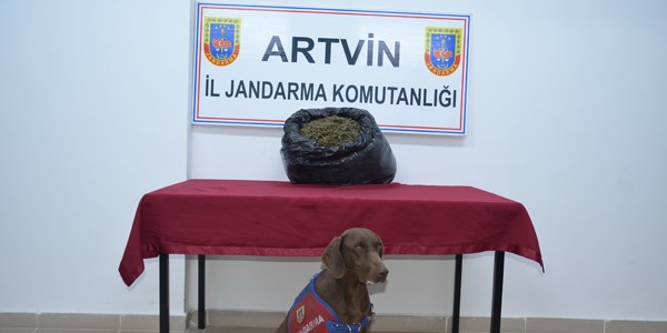 Artvin'de uyuşturucu operasyonu