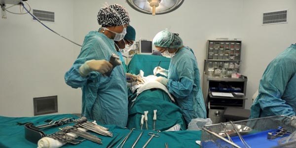 59 merkezde kemik iliği nakli yapılıyor