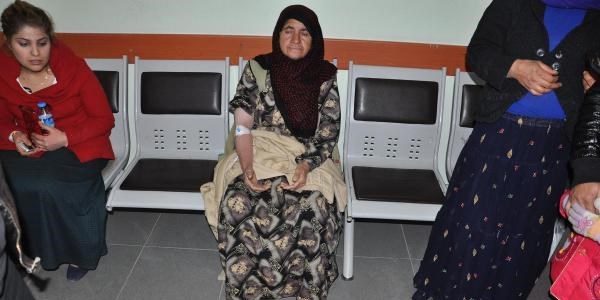 Kendisini ısıran yılanı öldürüp beraberinde hastaneye götürdü