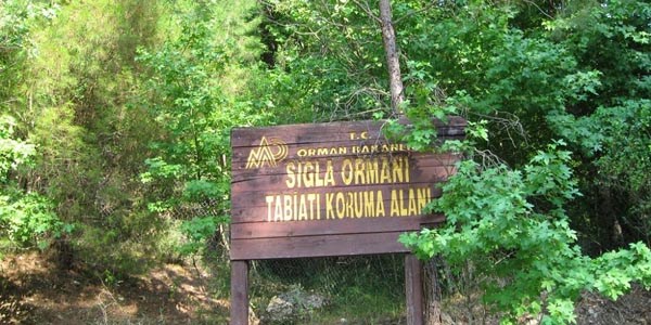 �evre Kanunu'na ayk�r�l�k cezalar� art�r�ld�