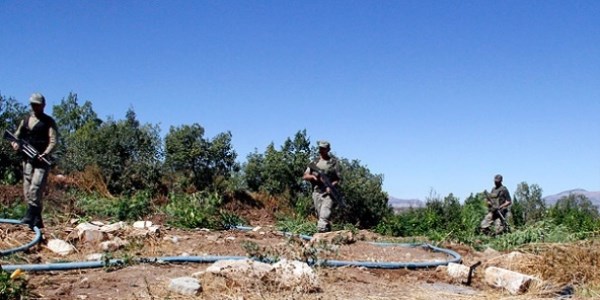 Van'da terör operasyonu: 12 gözaltı