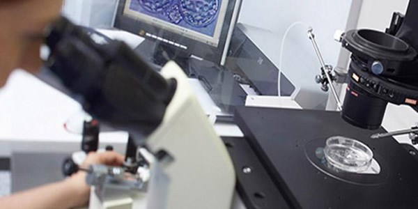 Romatizmaya k�k�rdak mucizesi