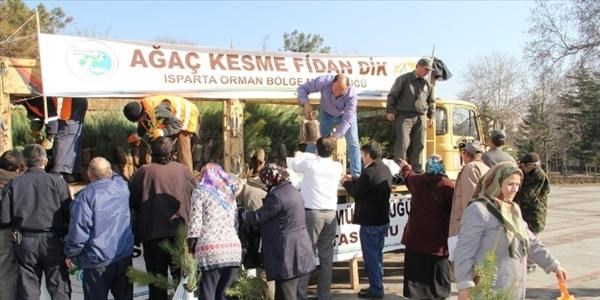 Kaçak ağaç kesimine önlem 'ücretsiz fidan'