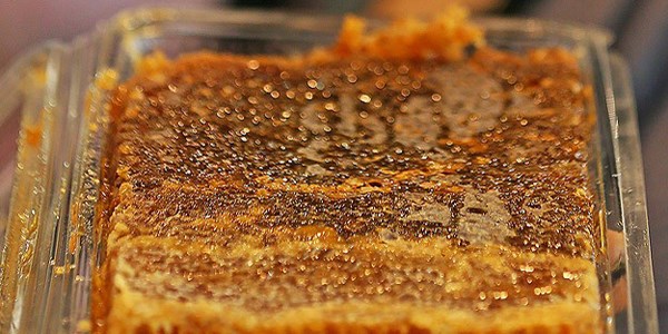 'Peri Balı'nın fiyatı 15 bin liraya ulaştı!