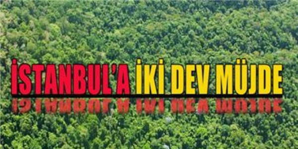 İstanbul'a iki dev orman kurulacak
