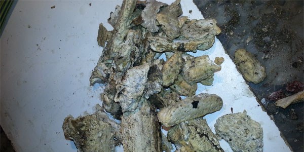 Lavaboya atık yağınızı dökerken bir kere daha düşünün