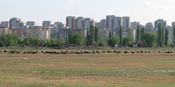 100 yılın en kurak dönemi kapıda!/ Video