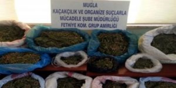 Fethiye'de uyu�turucu operasyonu