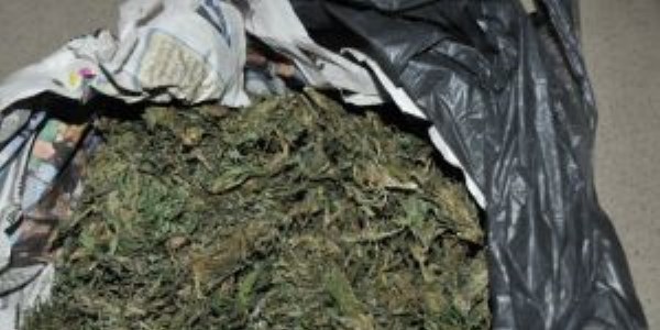 Jandarmadan uyu�turucu operasyonu