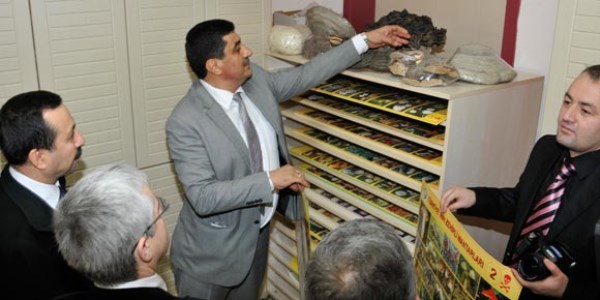Bu merkezde 700 trden 4 bin mantar rnei bulunuyor