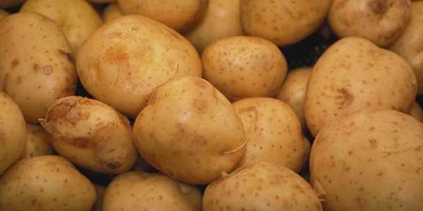 Tarlada 70 kuruştu, kilosu 3.5 TL'yi aştı