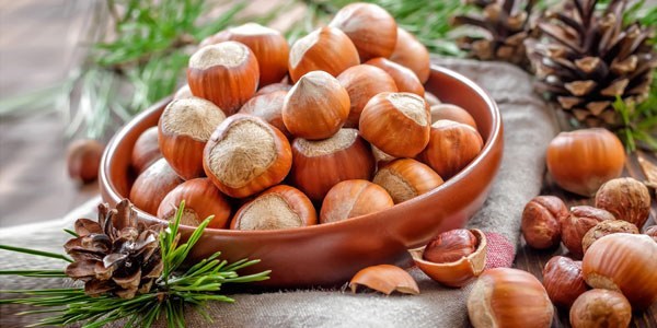 Gribe karşı fındık ile savunma