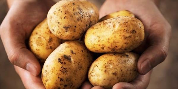 Bakanl�k patateste ya�anan fiyat art���na el koydu