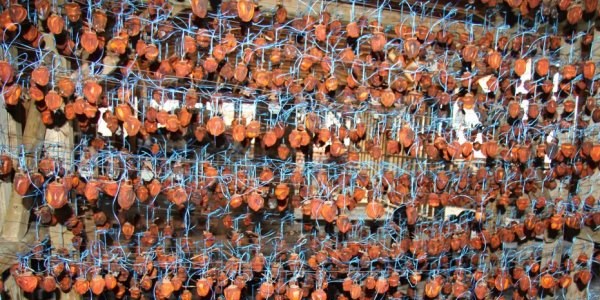 Hendek Hurmas� amac�na ula�t�