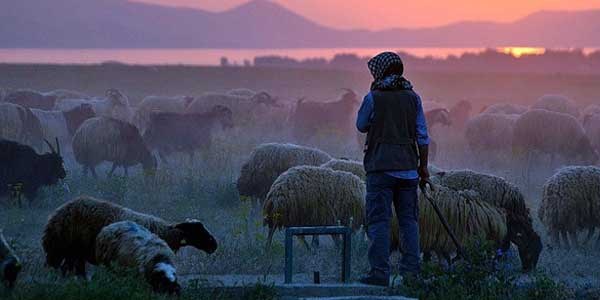 obanlara 25 bin kiilik kadro alacak
