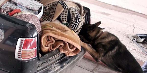 Sınır kapısında 5 el bombası ile tüfek ele geçirildi