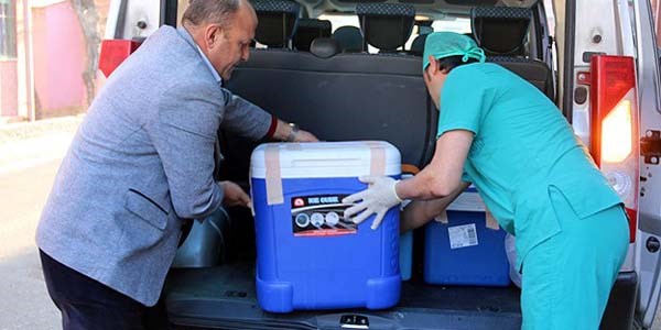 Türkiye dünyada böbrek naklinde 3. sırada