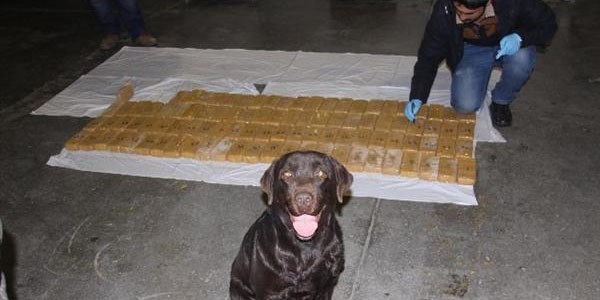 Erzincan'da 51 kilogram eroin ele geçirildi