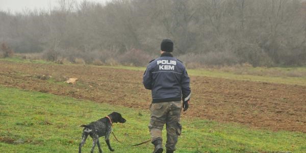 Jandarma, eğitimli köpeklerle Kader'in izini aradı