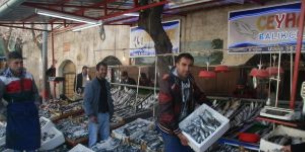 Balık fiyatları arttı, esnaf şikayetçi