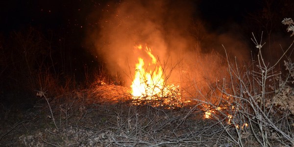 Bafra'da orman yang�n�