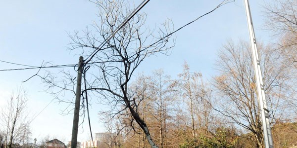 Elektrik telleri ateş saçıyor
