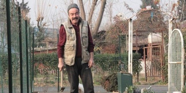 Köy hayatını yaşamak için para veriyorlar