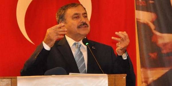 Eroğlu: Bu hükümet gitmeyecek