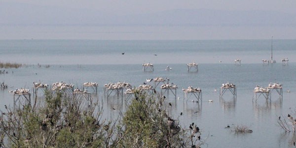 Manyas Gölü, 200 metre çekildi