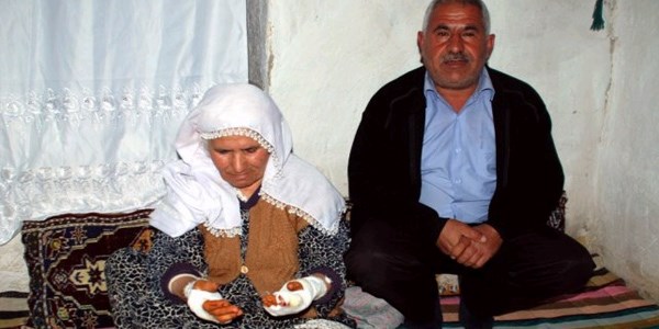 Adıyaman'da kedi dehşeti: 3 yaralı
