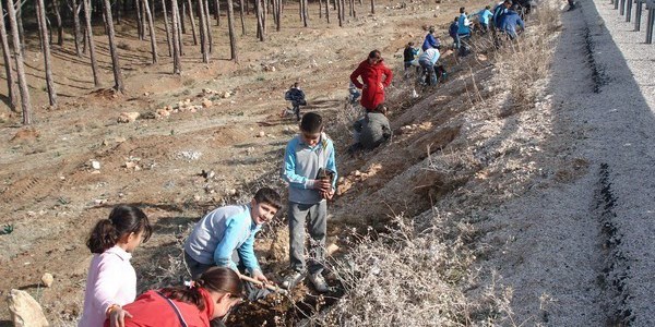Mersin karayollarına 15 bin fidan dikildi