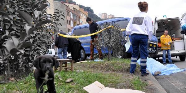 Yola çıkan köpek kazaya neden oldu: 1 ölü