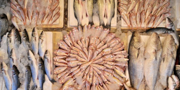 Karadeniz'de bal�k t�rleri yok oluyor