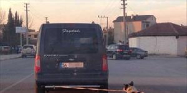 Köpeğini tampona bağlayan sürücü mobese kameralarından tespit edildi