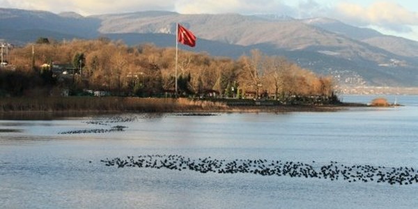 Kuraklık biyolojik kirliliği artırıyor