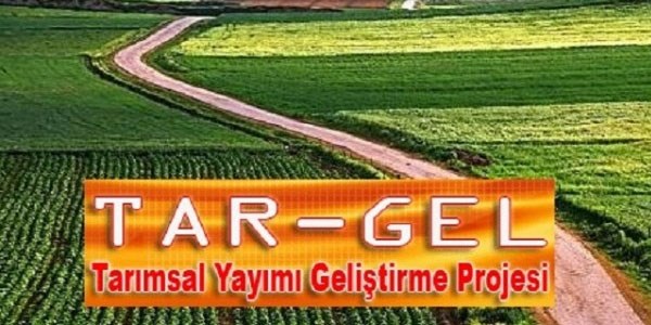 TARGEL personeli, mahkemede bilirkişi olabilir