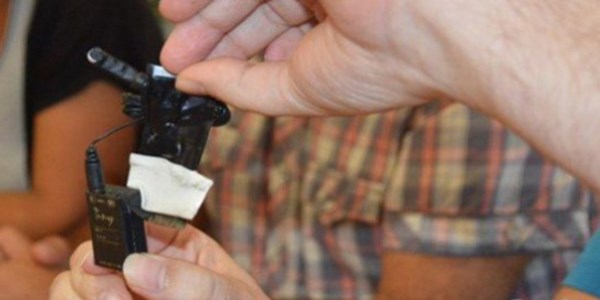 İnşaat Mühendisleri Odası'nda böcek bulundu
