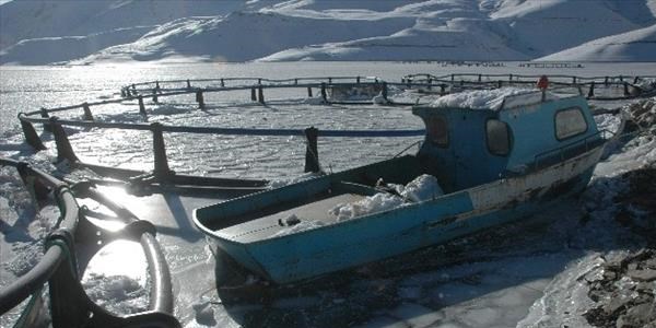 Van'da sibirya soğukları