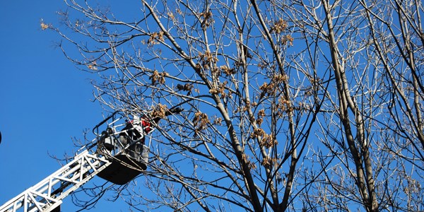 Malatya'da karga kurtarma operasyonu