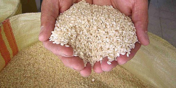 TMO, 81 ilde pirin� satacak