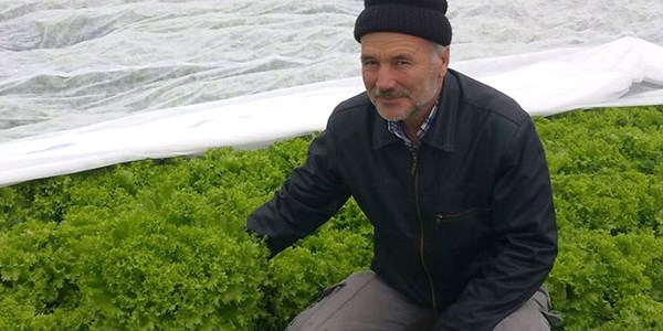 Üreticilerin yüzü seralarla gülüyor