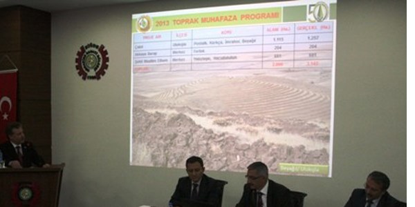 Ağaçlar köylülerin gelir kapısı olacak