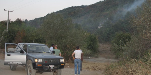 Sakarya'da orman yangınıyla mücadelede 29 araç kullanılıyor