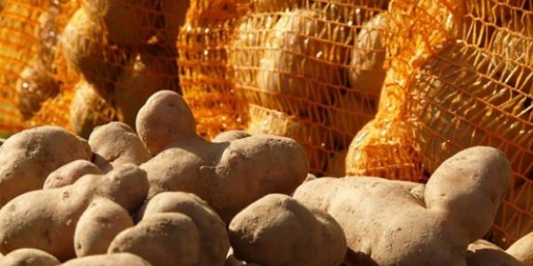 Patatesteki fiyat yükselişi durdu